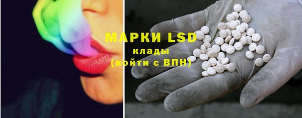 ПСИЛОЦИБИНОВЫЕ ГРИБЫ Аркадак