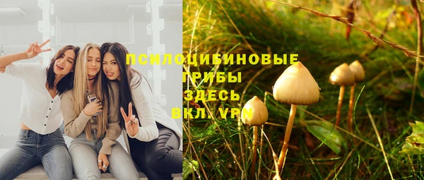 ПСИЛОЦИБИНОВЫЕ ГРИБЫ Аркадак